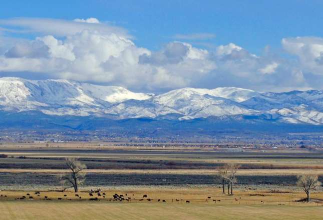 Learn more about Gardnerville