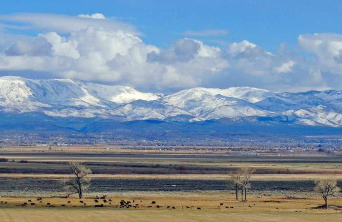 Learn more about Gardnerville